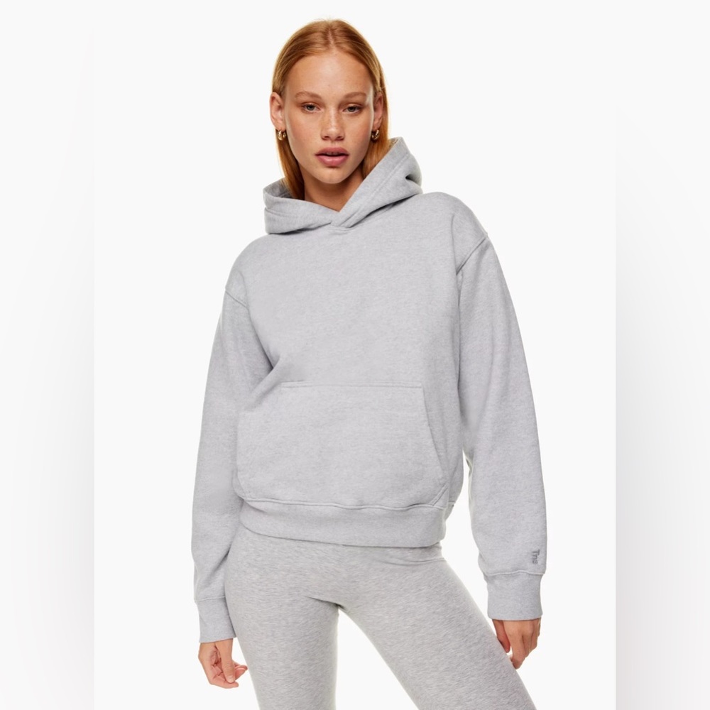 Aritzia Extra Fleece Perfect Hoodie (Size S)